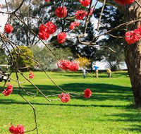 The Yass Golf Club - Palm Beach Accommodation