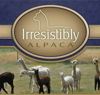 Marchmont Park Alpacas - Palm Beach Accommodation