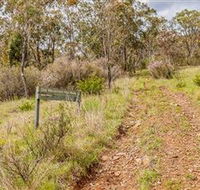 Old Mountain Road Walking Track - Palm Beach Accommodation