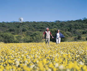 Morawa ACT Palm Beach Accommodation