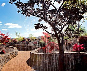 The Water Garden At Mayfield Garden - Palm Beach Accommodation 2