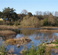Coolart Wetlands and Homestead - Palm Beach Accommodation