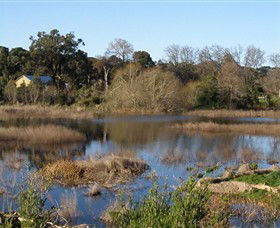 Coolart Wetlands And Homestead - Palm Beach Accommodation 0