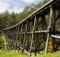 Noojee Trestle Bridge - Palm Beach Accommodation