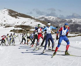 Falls Creek All Season Alpine Resort - Palm Beach Accommodation 0