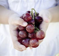 Granitevale  Estate Winery - Palm Beach Accommodation
