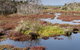 French Island National Park - thumb 0