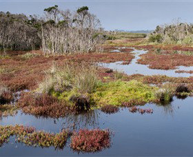 French Island National Park - Palm Beach Accommodation 0