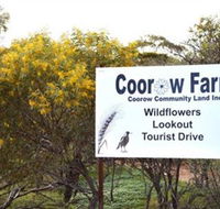 Coorow Farm Wildflower Trail