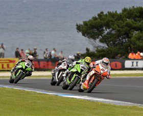Phillip Island Grand Prix Circuit Visitor Centre - Palm Beach Accommodation 6