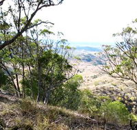 Boat Mountain Conservation Park - Palm Beach Accommodation
