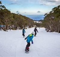 Mt Baw Baw Alpine Resort - Palm Beach Accommodation