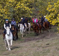 Burnelee Excursions on Horseback - Palm Beach Accommodation