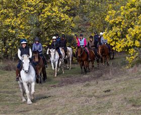 Burnelee Excursions On Horseback - Palm Beach Accommodation 0