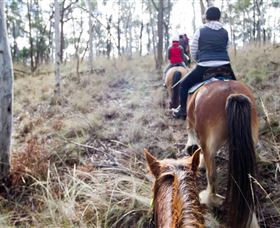 Burnelee Excursions On Horseback - Palm Beach Accommodation 1