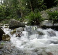 Washpool National Park - Palm Beach Accommodation
