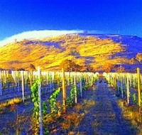 Surveyors Hill Winery - Palm Beach Accommodation