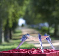 Lillico Glass Studio - Palm Beach Accommodation