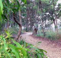 Mount Mutton Walking Trail - Palm Beach Accommodation