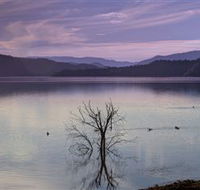 Inland Waters Holiday Parks Lake Glenbawn - Palm Beach Accommodation