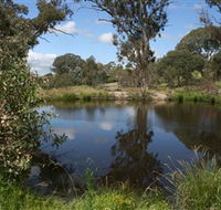 Cooleman Ridge - Palm Beach Accommodation