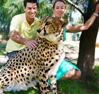 National Zoo  Aquarium - Palm Beach Accommodation
