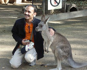Activity Tours Australia - Palm Beach Accommodation 3