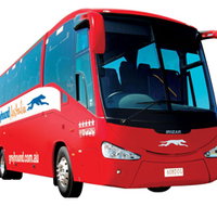 Greyhound Australia - Palm Beach Accommodation