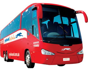 Greyhound Australia - Palm Beach Accommodation 0