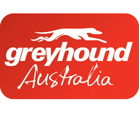 Greyhound Australia - Palm Beach Accommodation 2