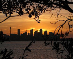 Joeys Walkabout - Palm Beach Accommodation 6