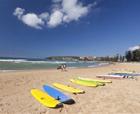 Manly Surf School - Palm Beach Accommodation 0