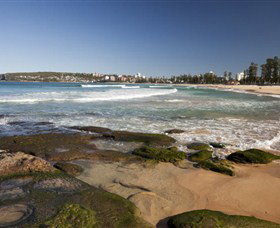 Manly Surf School - Palm Beach Accommodation 5