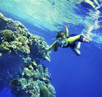 My Mates Tours - Palm Beach Accommodation
