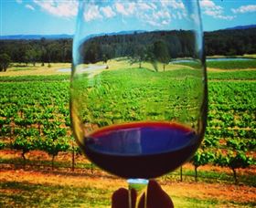 One Day Hunter Valley Day Tours And East Coast Adventures - Zepher Tours - Palm Beach Accommodation 4