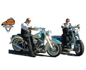 Wild Ride Harley And Motorcycle Tours - Palm Beach Accommodation 2