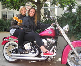 Wild Ride Harley And Motorcycle Tours - Palm Beach Accommodation 0