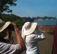 Follow That Bird - Palm Beach Accommodation