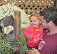 Blue Diamond Tours - Palm Beach Accommodation