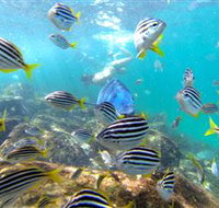 EcoTreasures - Palm Beach Accommodation