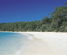 Cloud9 Tours - Palm Beach Accommodation 1