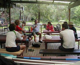 Dingo Tours - Palm Beach Accommodation 5