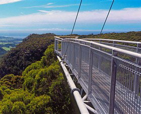 Dingo Tours - Palm Beach Accommodation 4