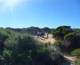 Dingo Tours - Palm Beach Accommodation 7