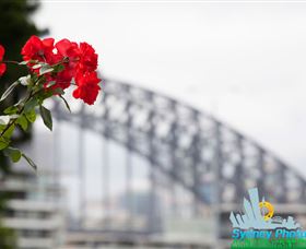 Sydney Photo Tours - Palm Beach Accommodation 3