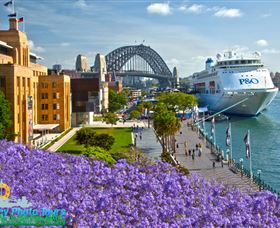 Sydney Photo Tours - Palm Beach Accommodation 5