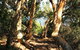 My Walking Detour - thumb 6
