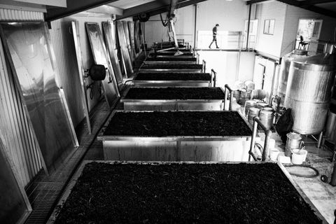 Clonakilla Wines - Palm Beach Accommodation 9