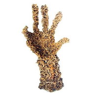 Coo-ee Aboriginal Art Gallery - Palm Beach Accommodation