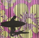 Iain Dawson Gallery - Palm Beach Accommodation 2